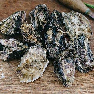 product image for Fresh Wholeshell Mahurangi Oysters 