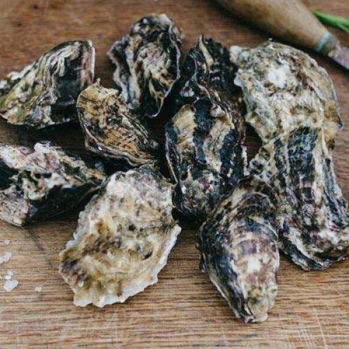image of  Fresh Mahurangi Oysters 