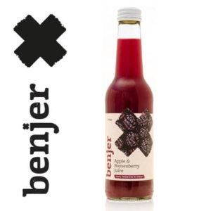 product image for Benjer Apple Boysenberry - 24 pack