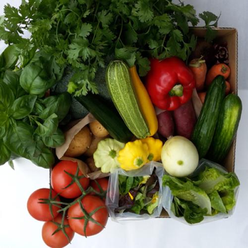 image of Salty River Farm Vegetable Box for 3 or 4 people households